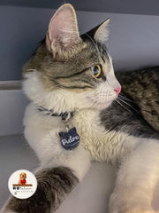 Tag Gatinho Preto - Autelier do Rocky