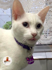 Tag Gatinho Roxo - Autelier do Rocky