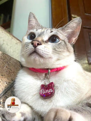 Tag Gatinho Rosa Escuro - Autelier do Rocky