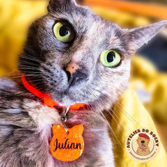 Tag Gatinho Laranja - Autelier do Rocky
