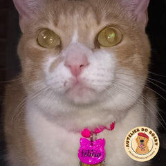 Tag Gatinho Rosa Chock - Autelier do Rocky