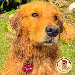 Tag Redonda Rosa Golden - Autelier do Rocky